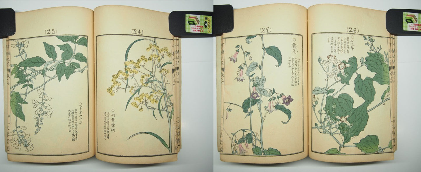Bairei Woodblock Print Book: "Thousand Flowers" #4, First edition, Unsodo 1891