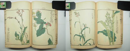 Bairei Woodblock Print Book: "Thousand Flowers" #2, First edition, Unsodo 1891