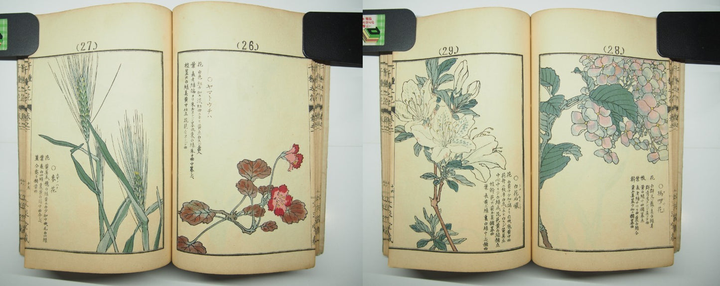 Bairei Woodblock Print Book: "Thousand Flowers" #1, First edition, Unsodo 1891