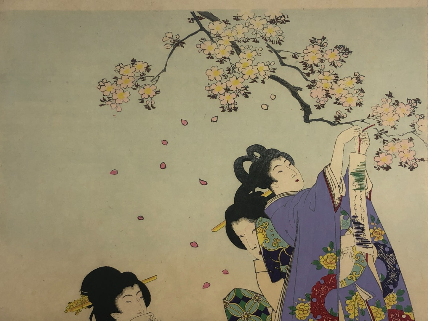 Chikanobu Woodblock Print Triptych: Noblewomen Viewing Cherry Blossoms Ukiyo-e
