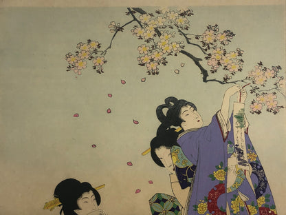 Chikanobu Woodblock Print Triptych: Noblewomen Viewing Cherry Blossoms Ukiyo-e