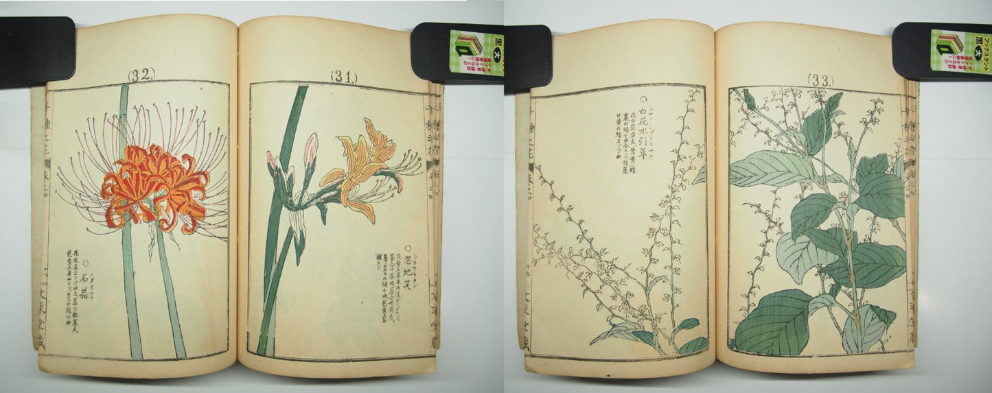 Bairei Woodblock Print Book: "Thousand Flowers" #4, First edition, Unsodo 1891