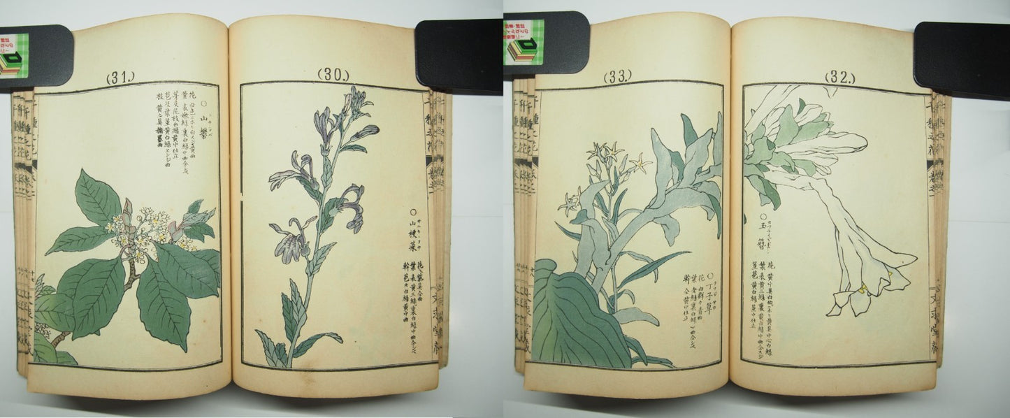 Bairei Woodblock Print Book: "Thousand Flowers" #1, First edition, Unsodo 1891