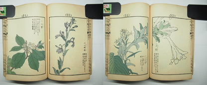 Bairei Woodblock Print Book: "Thousand Flowers" #1, First edition, Unsodo 1891