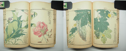 Bairei Woodblock Print Book: "Thousand Flowers" #2, First edition, Unsodo 1891