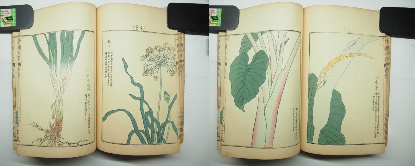 Bairei Woodblock Print Book: "Thousand Flowers" #2, First edition, Unsodo 1891