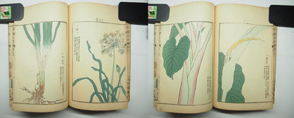 Bairei Woodblock Print Book: "Thousand Flowers" #2, First edition, Unsodo 1891