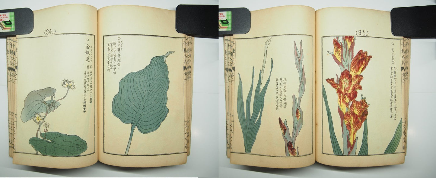 Bairei Woodblock Print Book: "Thousand Flowers" #1, First edition, Unsodo 1891