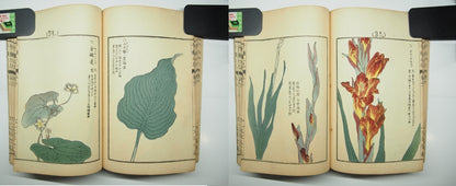 Bairei Woodblock Print Book: "Thousand Flowers" #1, First edition, Unsodo 1891