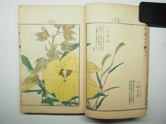 Bairei Woodblock Print Book: "Thousand Flowers" #2, First edition, Unsodo 1891