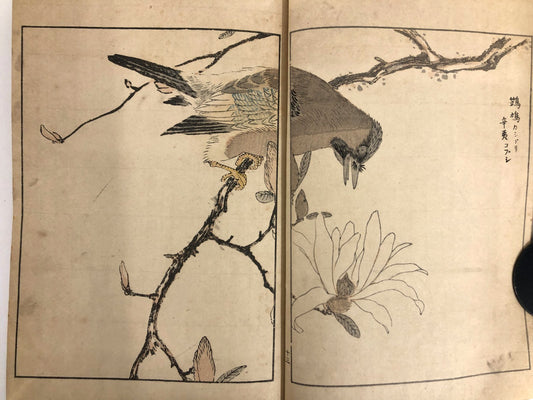 沼田荷舟「花鳥画選 完」 花鳥画 1916年（大正5年）木版画