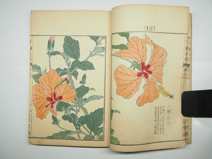 Bairei Woodblock Print Book: "Thousand Flowers" #4, First edition, Unsodo 1891