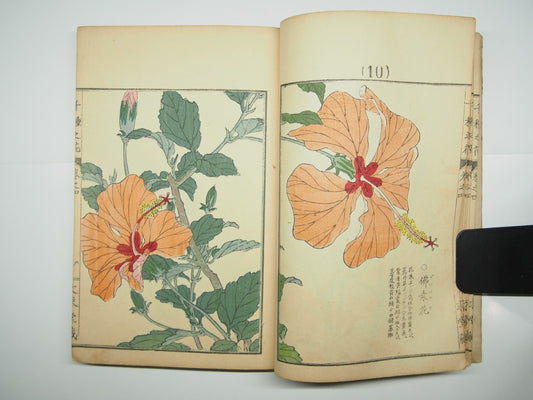 幸野楳嶺「千種之花 四」初版 芸艸堂 1891年 花鳥画 木版画