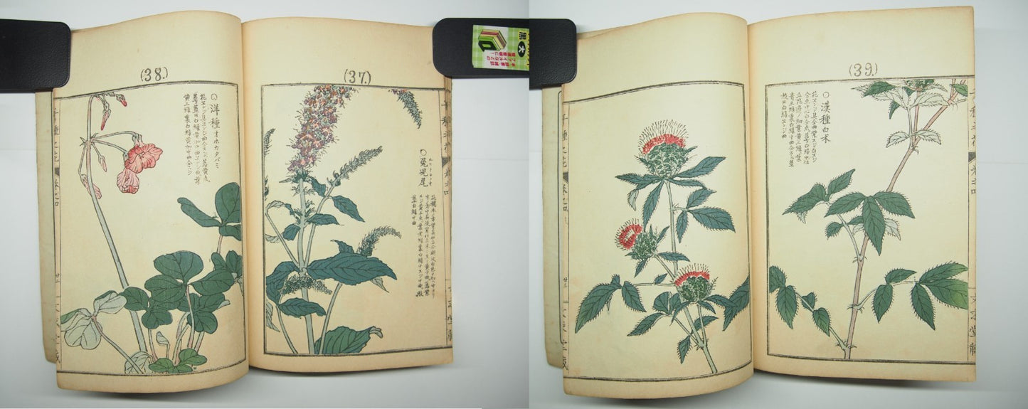 Bairei Woodblock Print Book: "Thousand Flowers" #4, First edition, Unsodo 1891