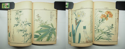 Bairei Woodblock Print Book: "Thousand Flowers" #2, First edition, Unsodo 1891