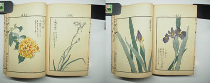 Bairei Woodblock Print Book: "Thousand Flowers" #1, First edition, Unsodo 1891