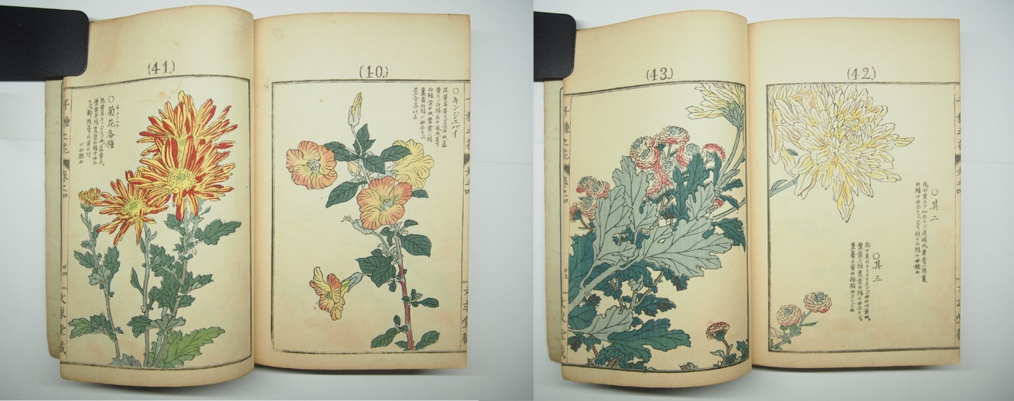 Bairei Woodblock Print Book: "Thousand Flowers" #4, First edition, Unsodo 1891