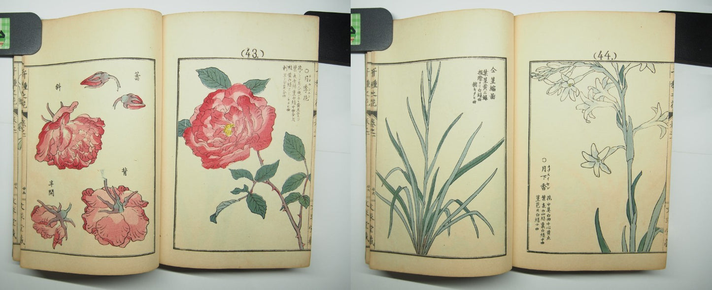 Bairei Woodblock Print Book: "Thousand Flowers" #1, First edition, Unsodo 1891