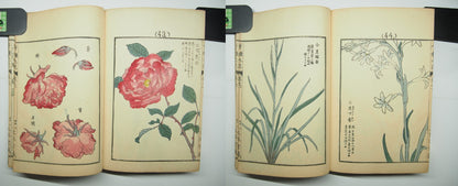 Bairei Woodblock Print Book: "Thousand Flowers" #1, First edition, Unsodo 1891