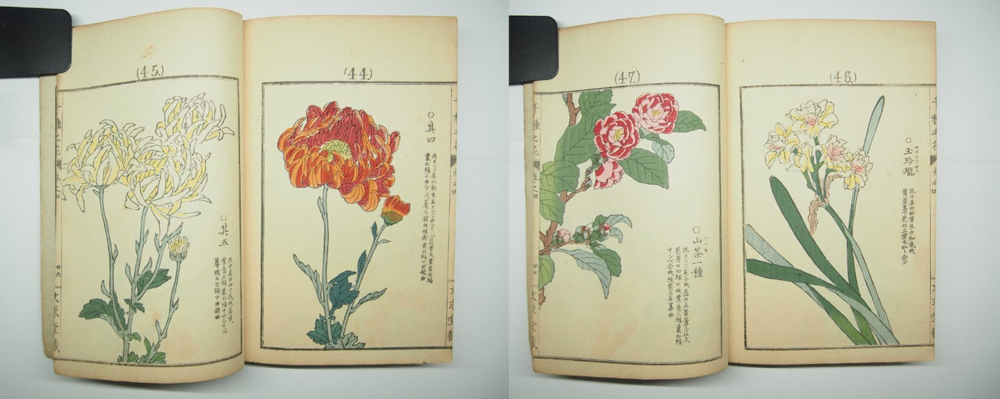 Bairei Woodblock Print Book: "Thousand Flowers" #4, First edition, Unsodo 1891