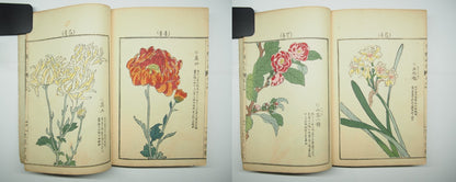 Bairei Woodblock Print Book: "Thousand Flowers" #4, First edition, Unsodo 1891