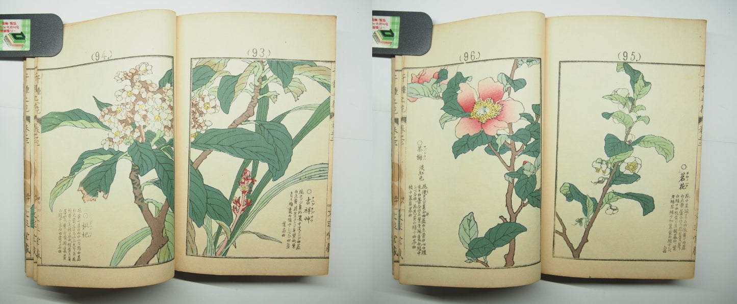 Bairei Woodblock Print Book: "Thousand Flowers" #2, First edition, Unsodo 1891