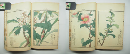 Bairei Woodblock Print Book: "Thousand Flowers" #2, First edition, Unsodo 1891