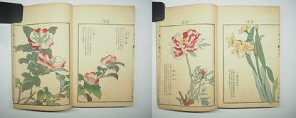 Bairei Woodblock Print Book: "Thousand Flowers" #4, First edition, Unsodo 1891
