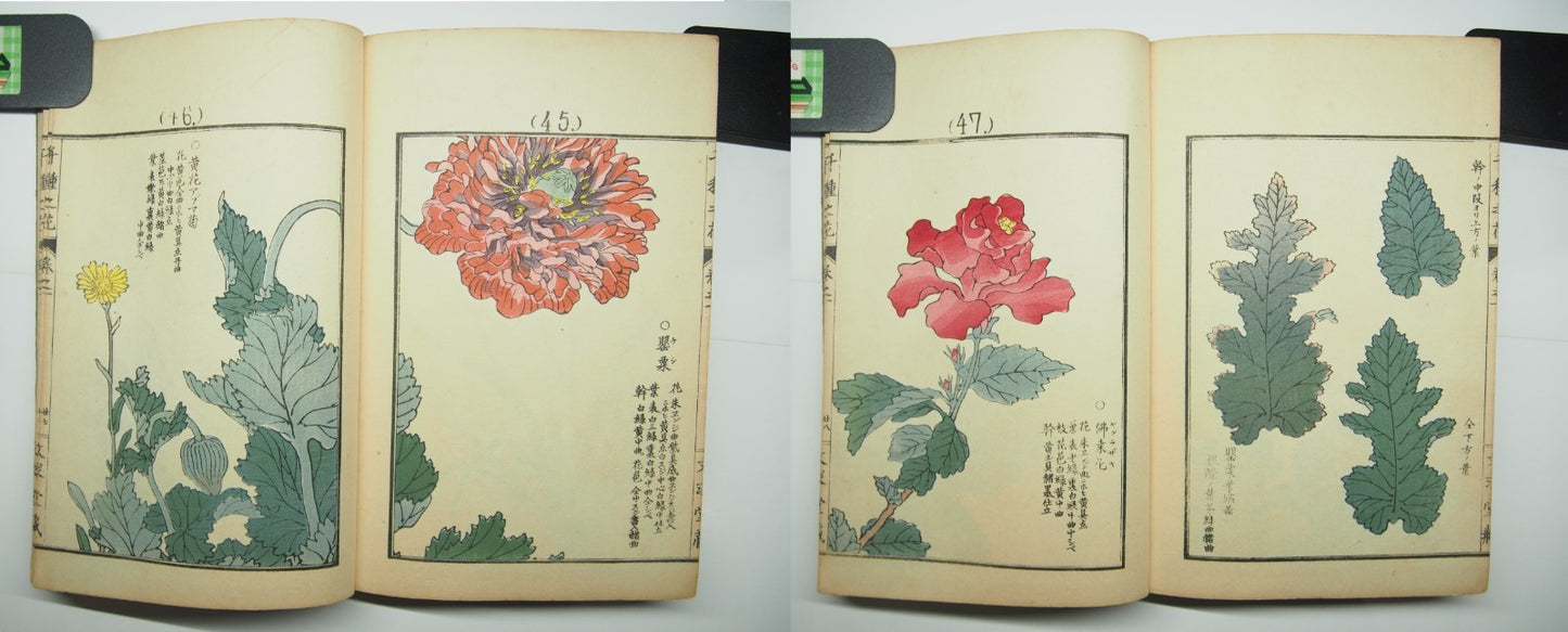 Bairei Woodblock Print Book: "Thousand Flowers" #1, First edition, Unsodo 1891
