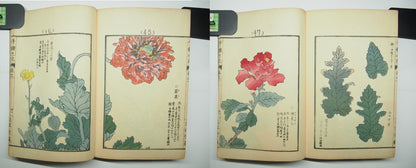 Bairei Woodblock Print Book: "Thousand Flowers" #1, First edition, Unsodo 1891