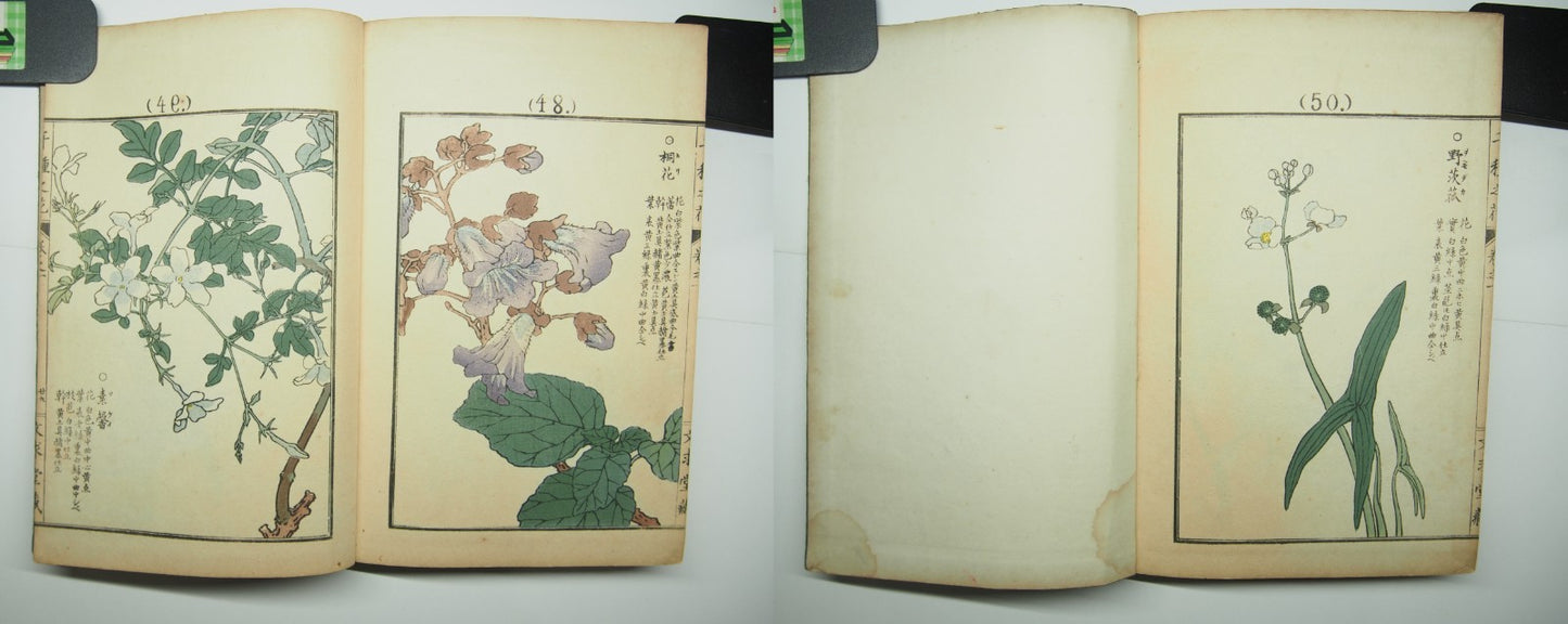 Bairei Woodblock Print Book: "Thousand Flowers" #1, First edition, Unsodo 1891
