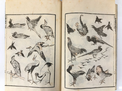 Hokusai Woodblock Reprint Book x15: HOKUSAI MANGA Complete Set UNSO-DO 1962