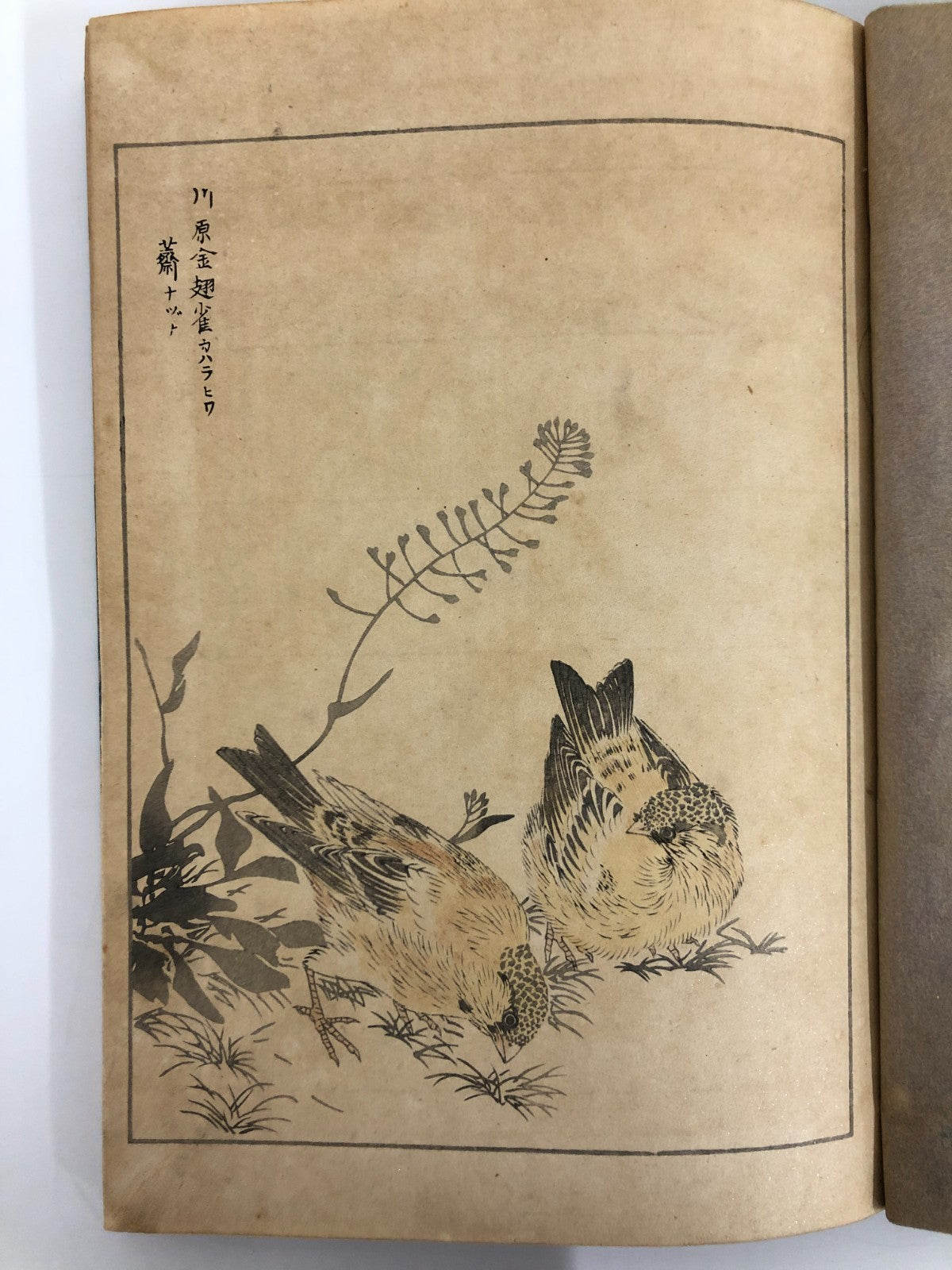 Numata Nishu Woodblock Print Book: Selected Bird-and-Flower Paintings