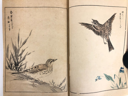 Numata Nishu Woodblock Print Book: Selected Bird-and-Flower Paintings