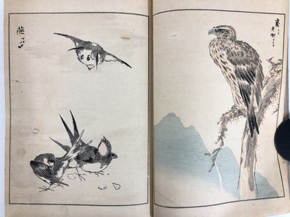 Numata Nishu Woodblock Print Book: Selected Bird-and-Flower Paintings
