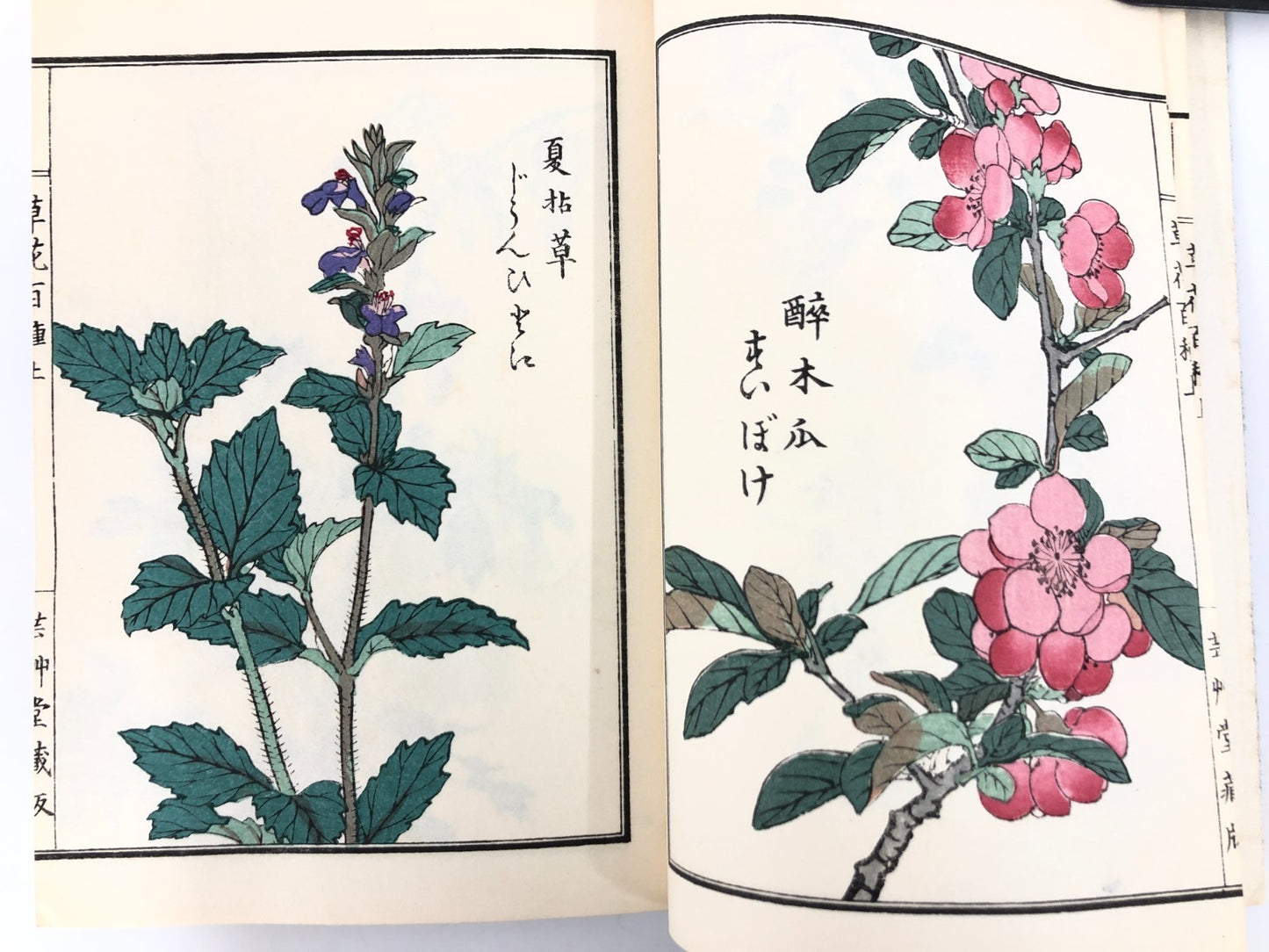 Bairei Woodblock Print Book x4: One Hundred Flowers and Plants 1974 Unsodo