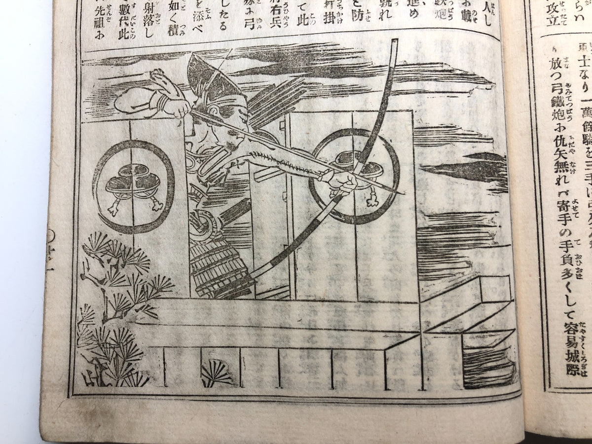 Image #5