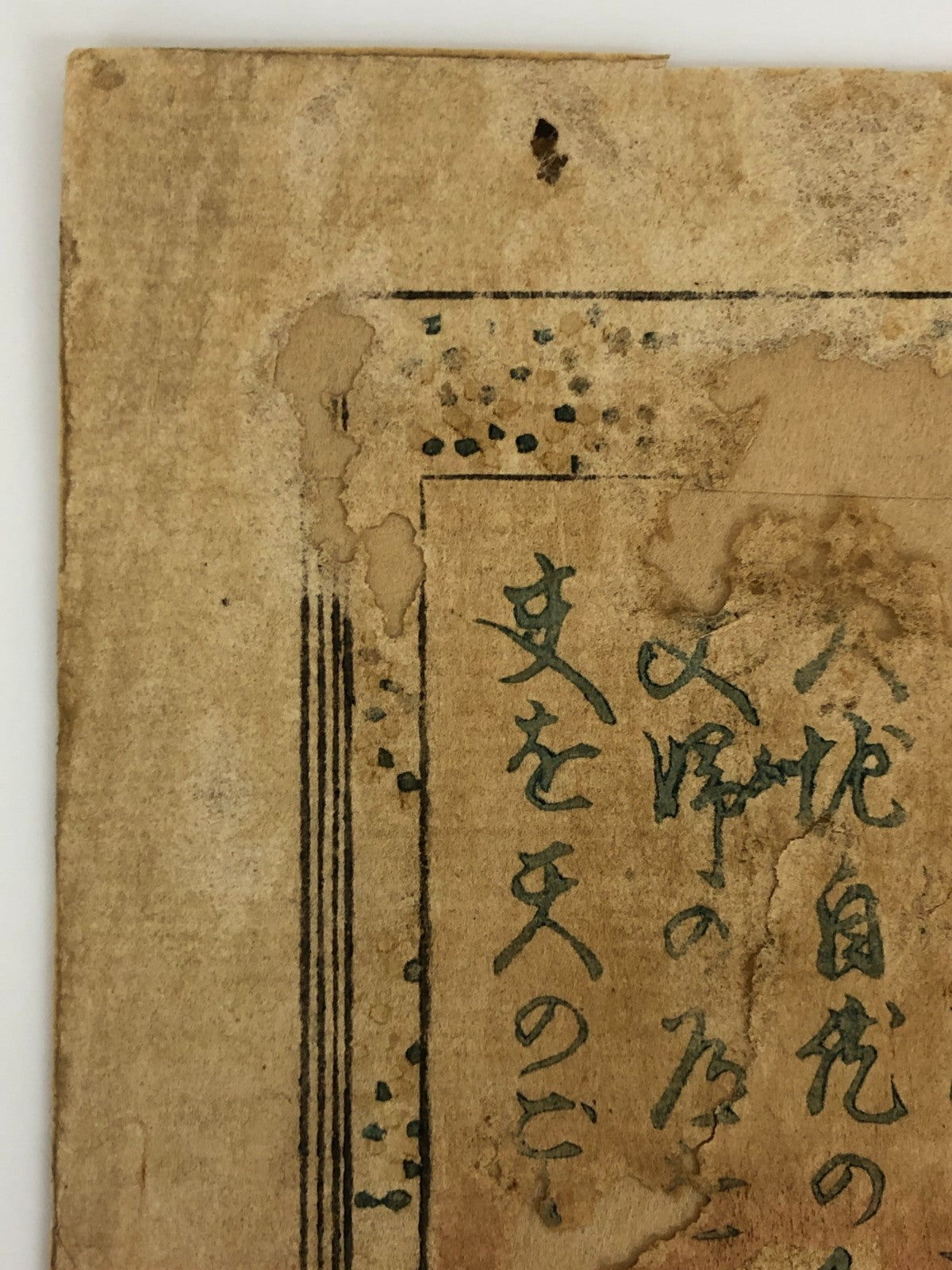 Image #12