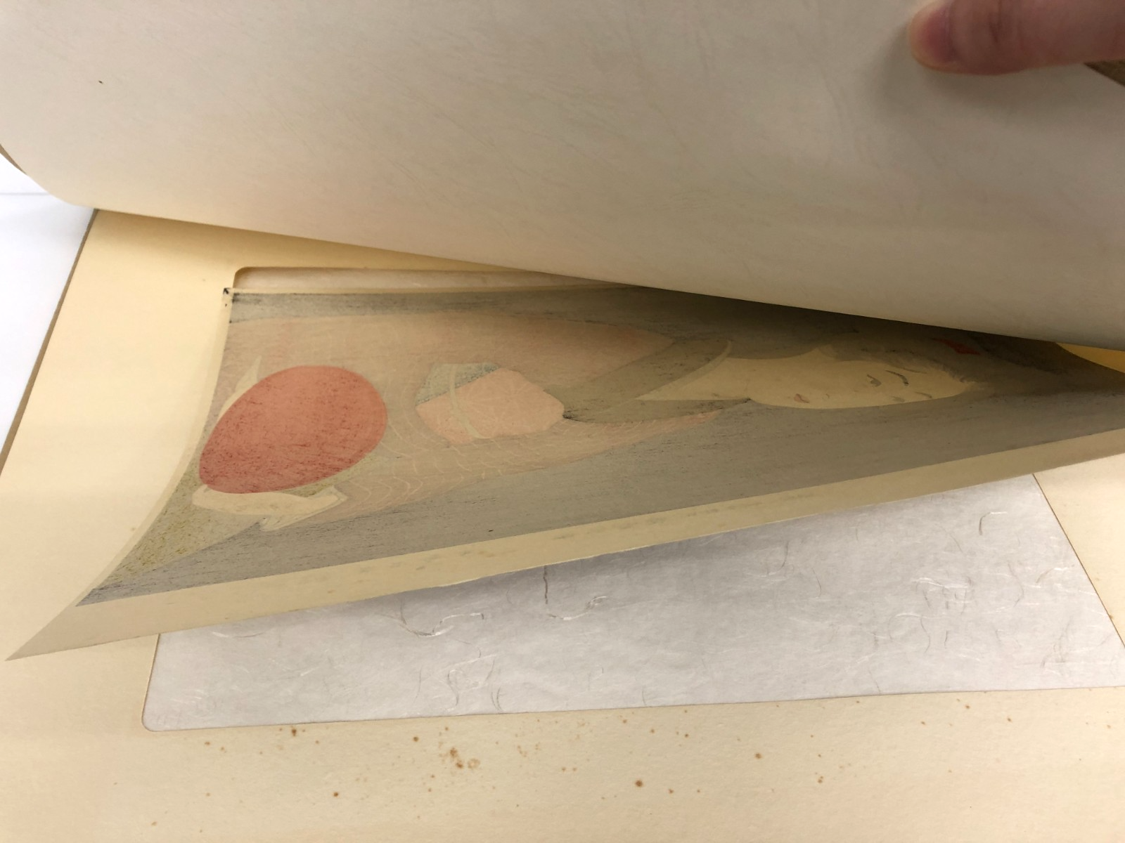 Image #7