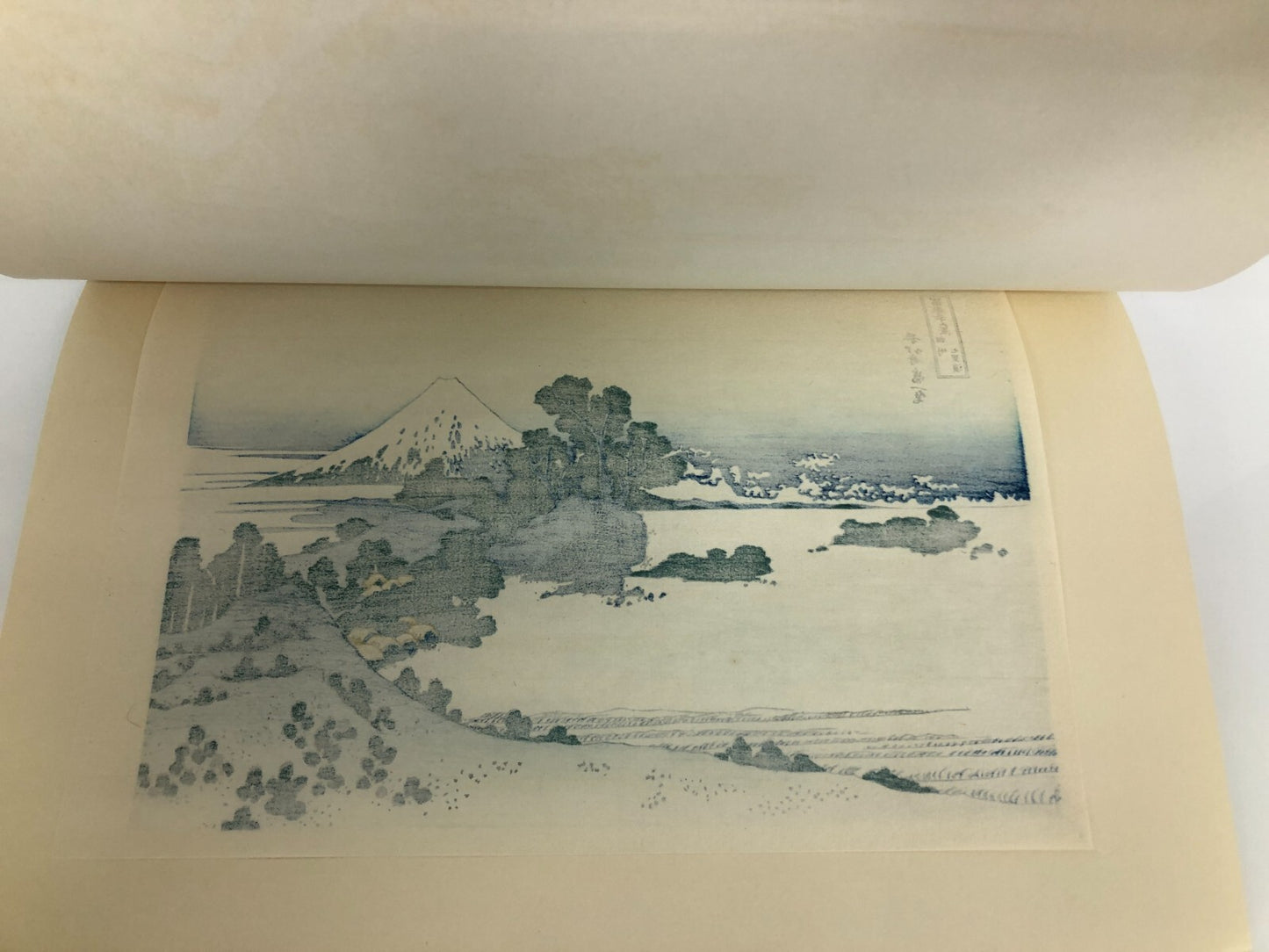 Image #7