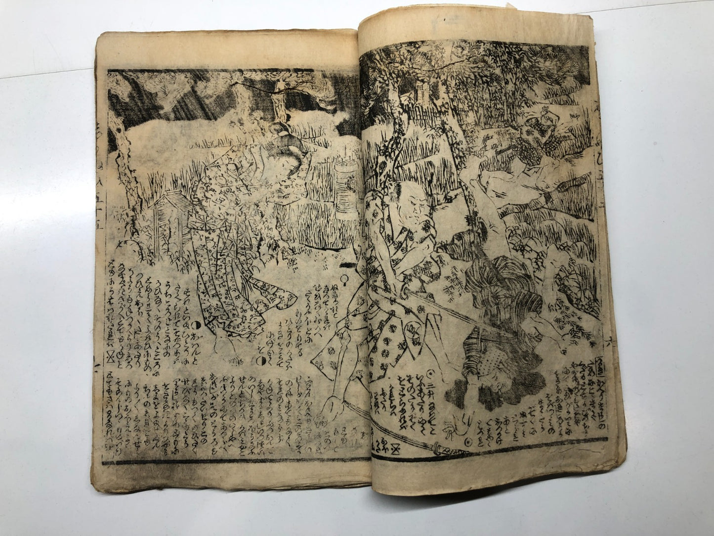 Image #13