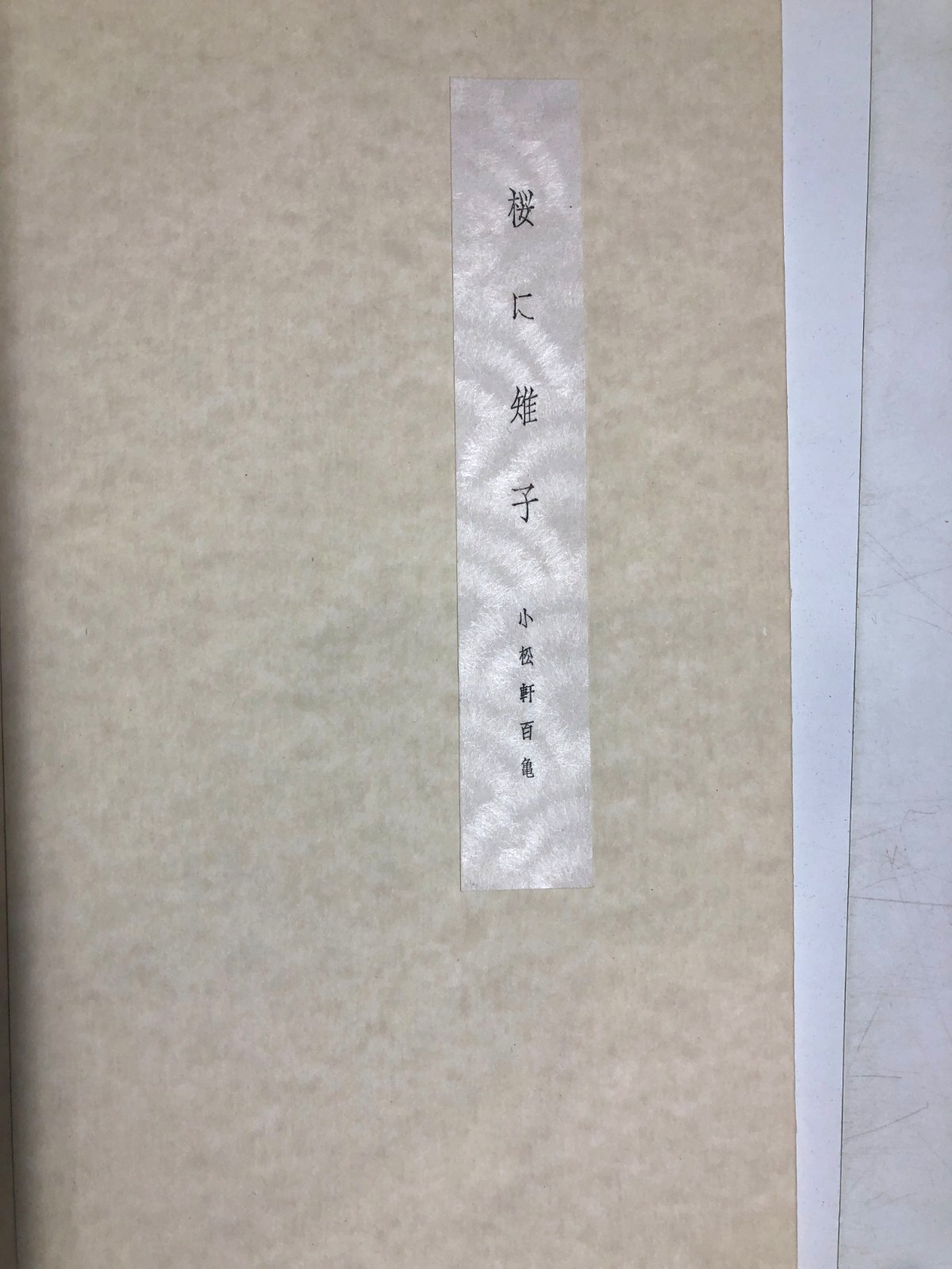 Image #2