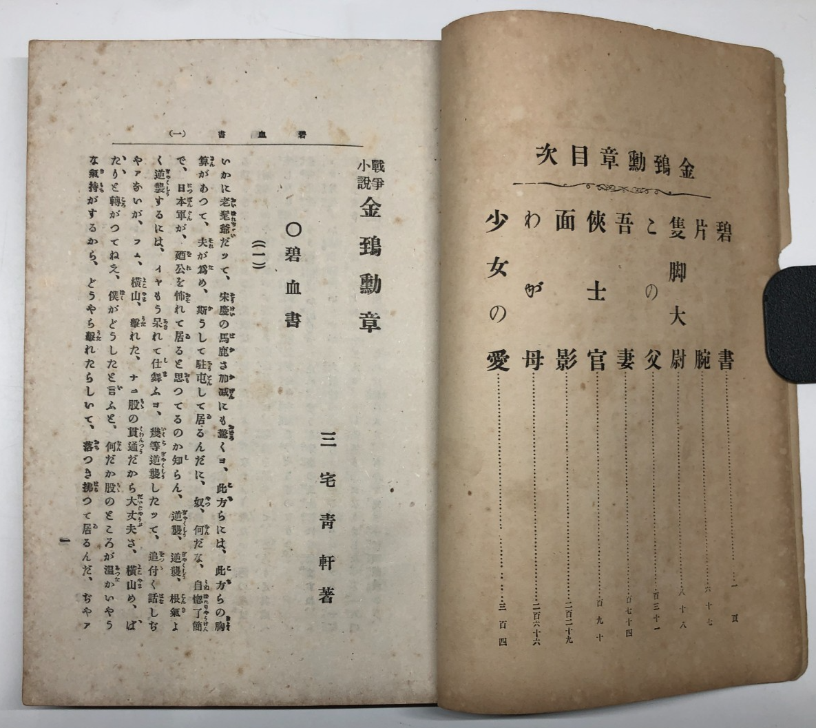 Image #11