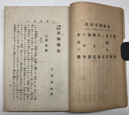 Image #11
