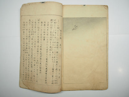 Image #17