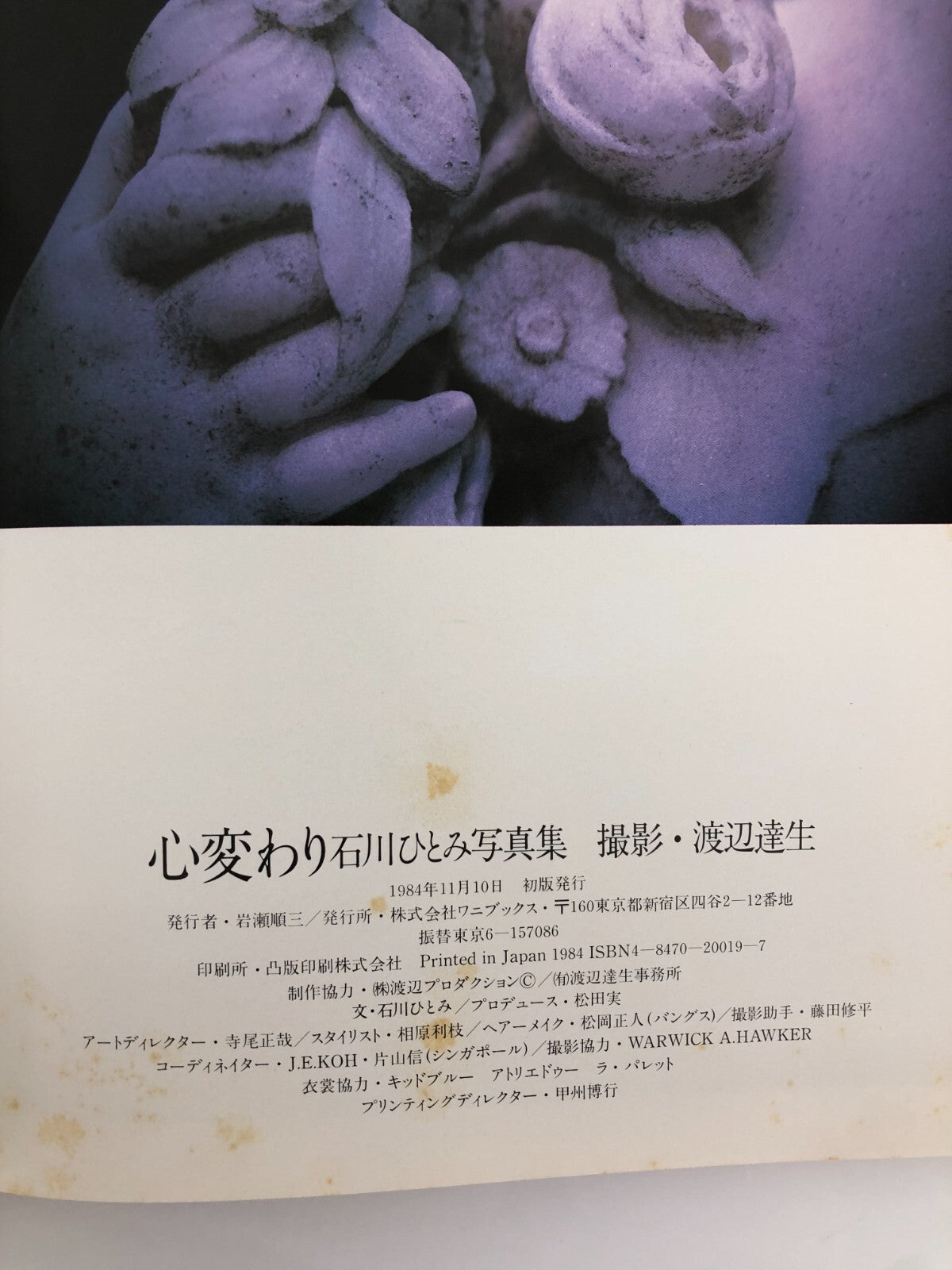 Image #6