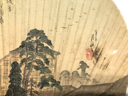 Image #12