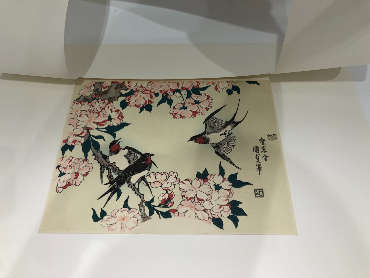 Image #2