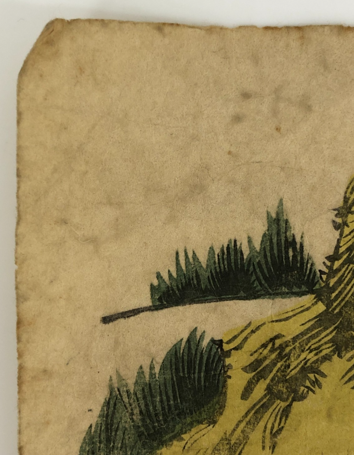 Image #12