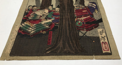 Image #7